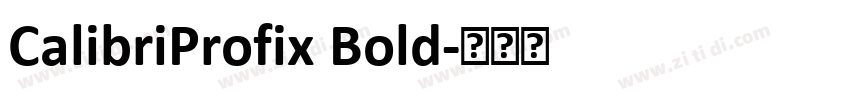 CalibriProfix Bold字体转换